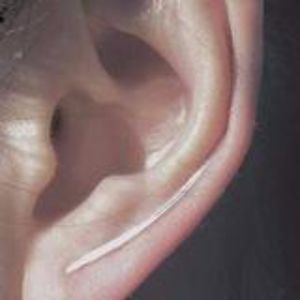 Monte Carlo Sterling Silver Crawlers